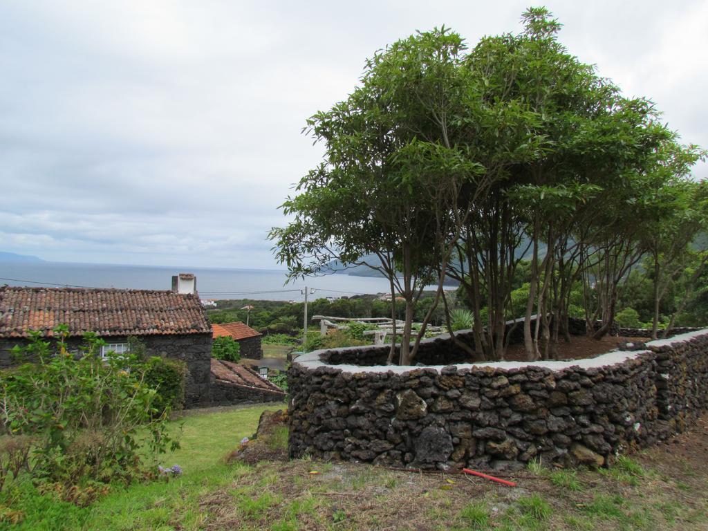 Casas De Campo Housesinpico Prainha  Εξωτερικό φωτογραφία