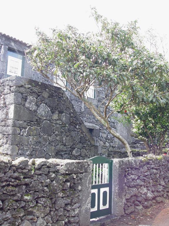 Casas De Campo Housesinpico Prainha  Εξωτερικό φωτογραφία